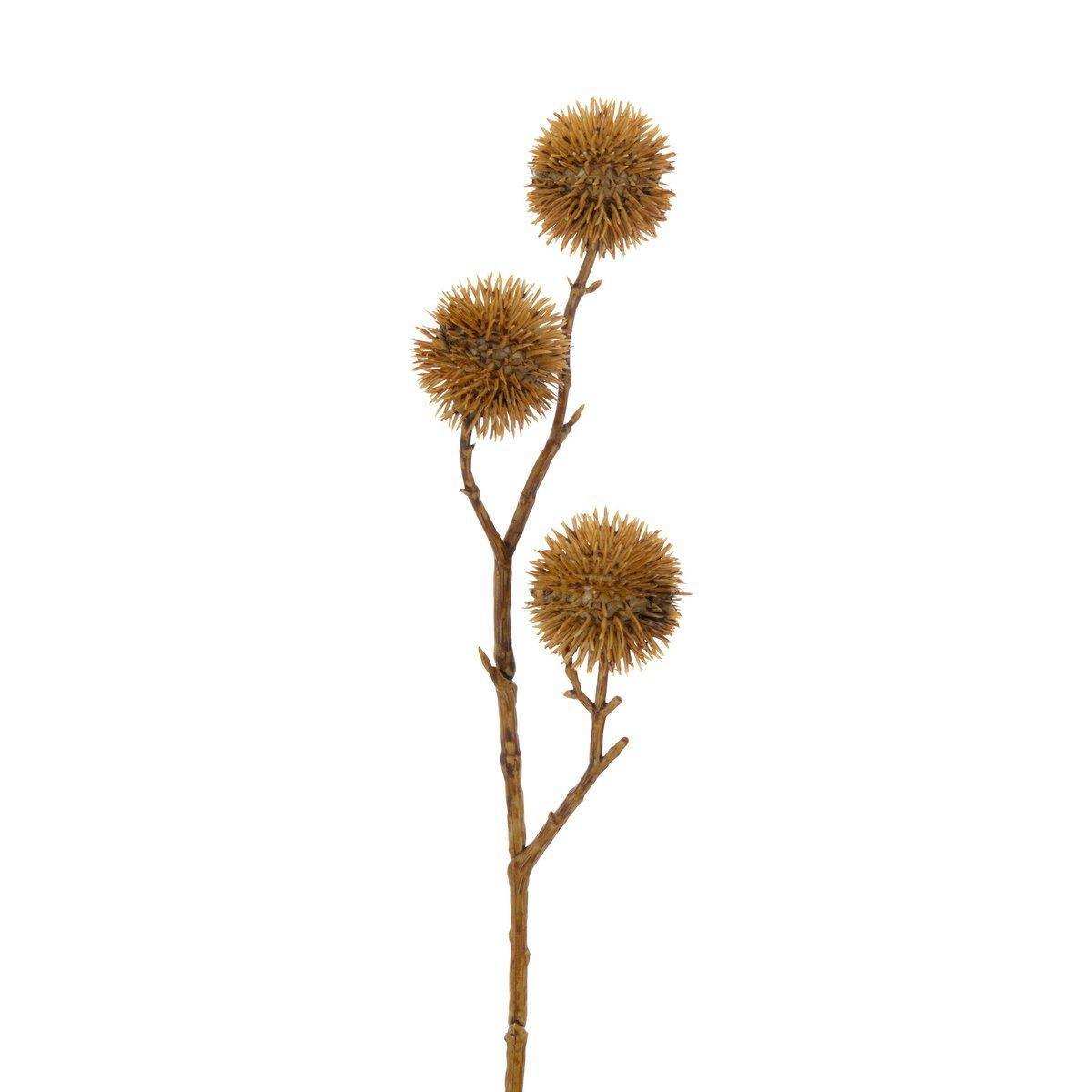 J-Line Kunstblume Allium 3 Blumen – Kunststoff – Ocker – S – - HomeDesign Knaus