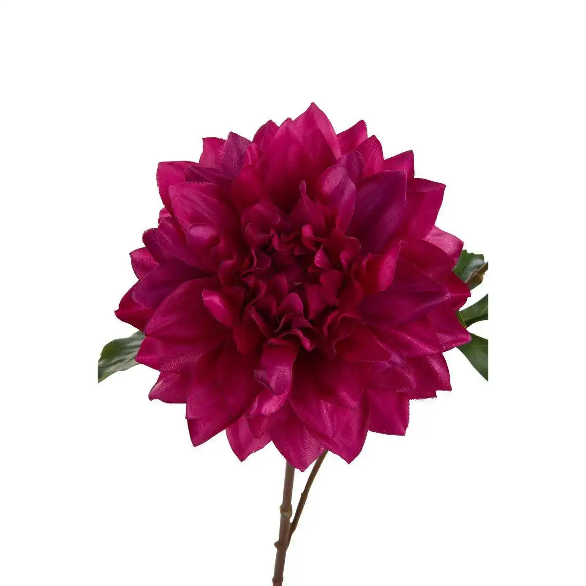 J-Line Kunstblume Dahlia Lauwra – Kunststoff – Fuchsia - HomeDesign Knaus