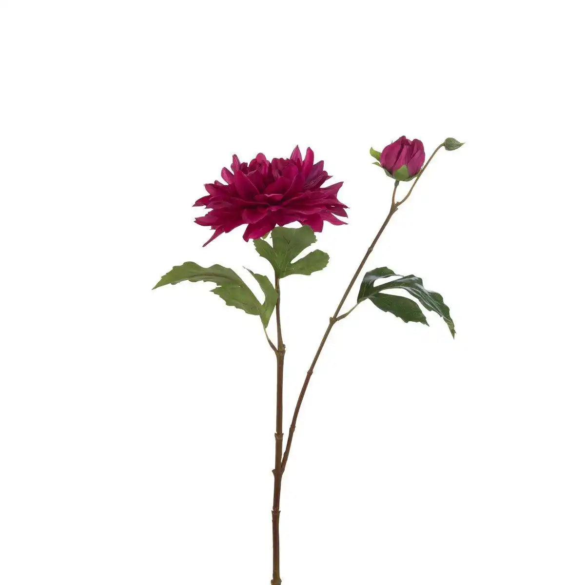 J-Line Kunstblume Dahlia Lauwra – Kunststoff – Fuchsia - HomeDesign Knaus