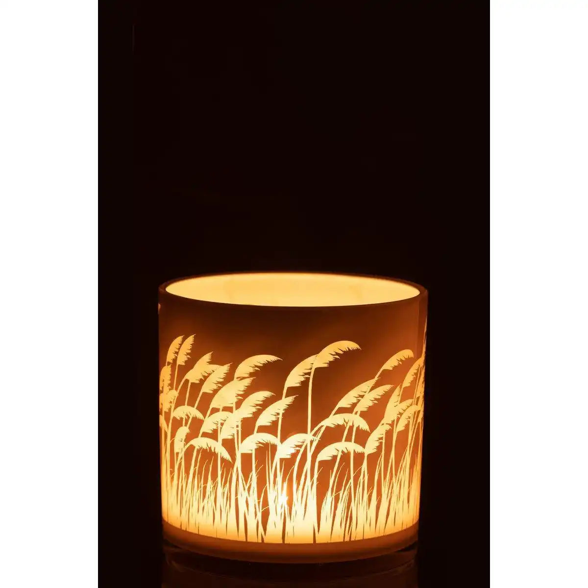 J-Line Laterne Pampas - Glas - Beige/Weiß - Groß - HomeDesign Knaus