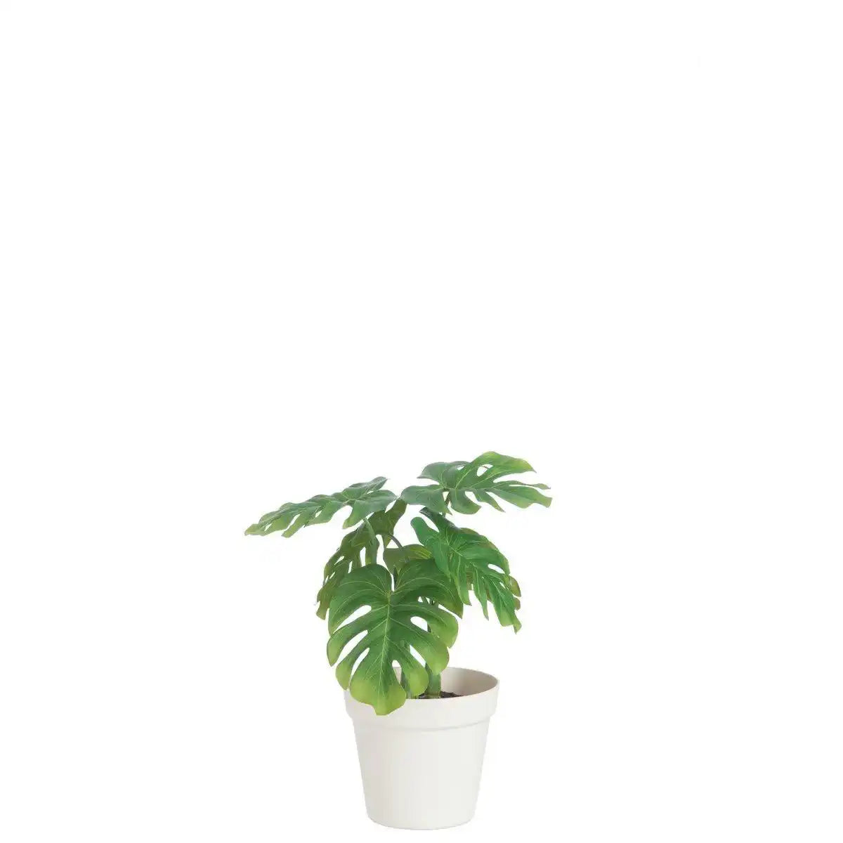 J-Line Leaf Philo im Topf Kunststoff grün/weiß mittel - HomeDesign Knaus