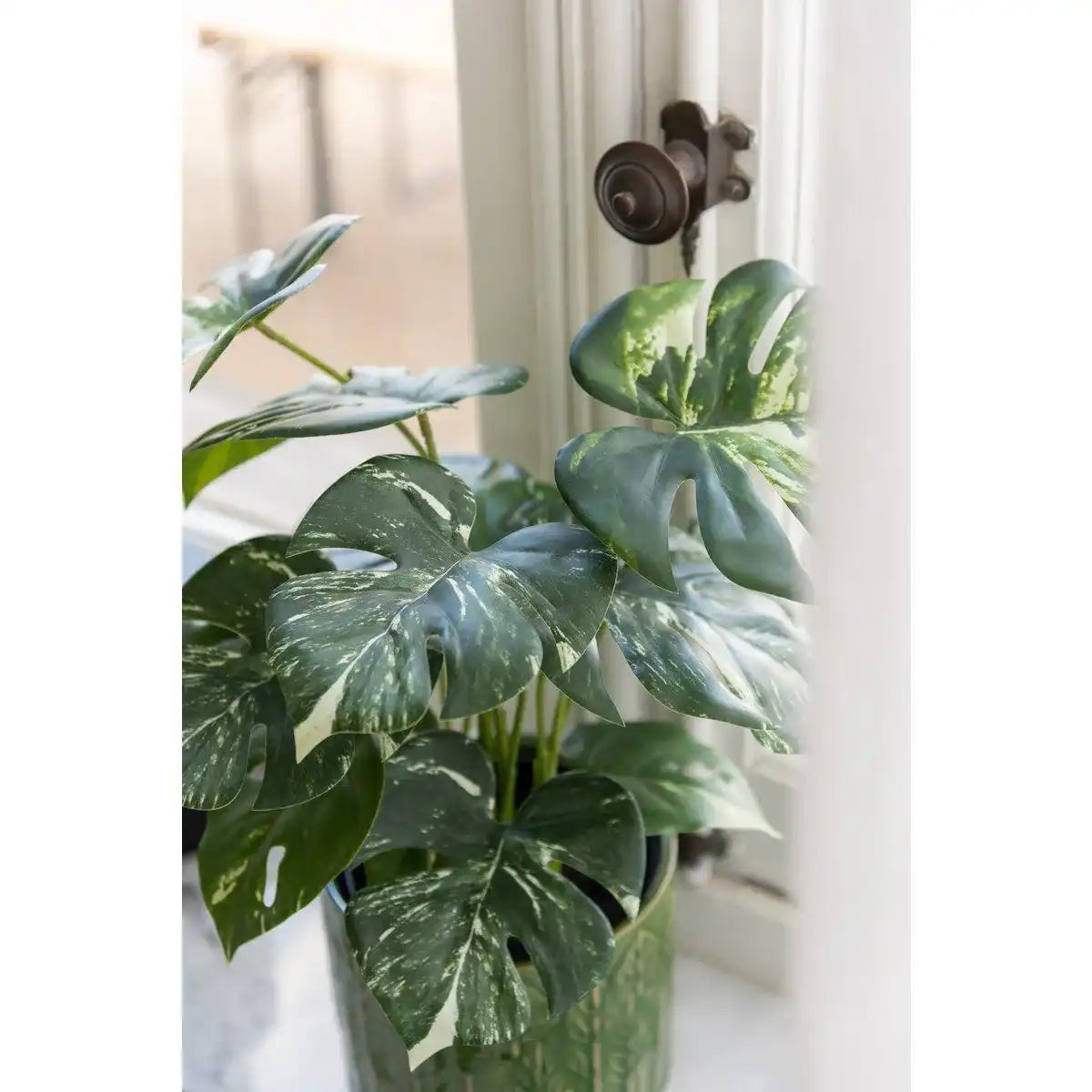 J-Line Monstera im Topf - Kunststoff - Grün - HomeDesign Knaus