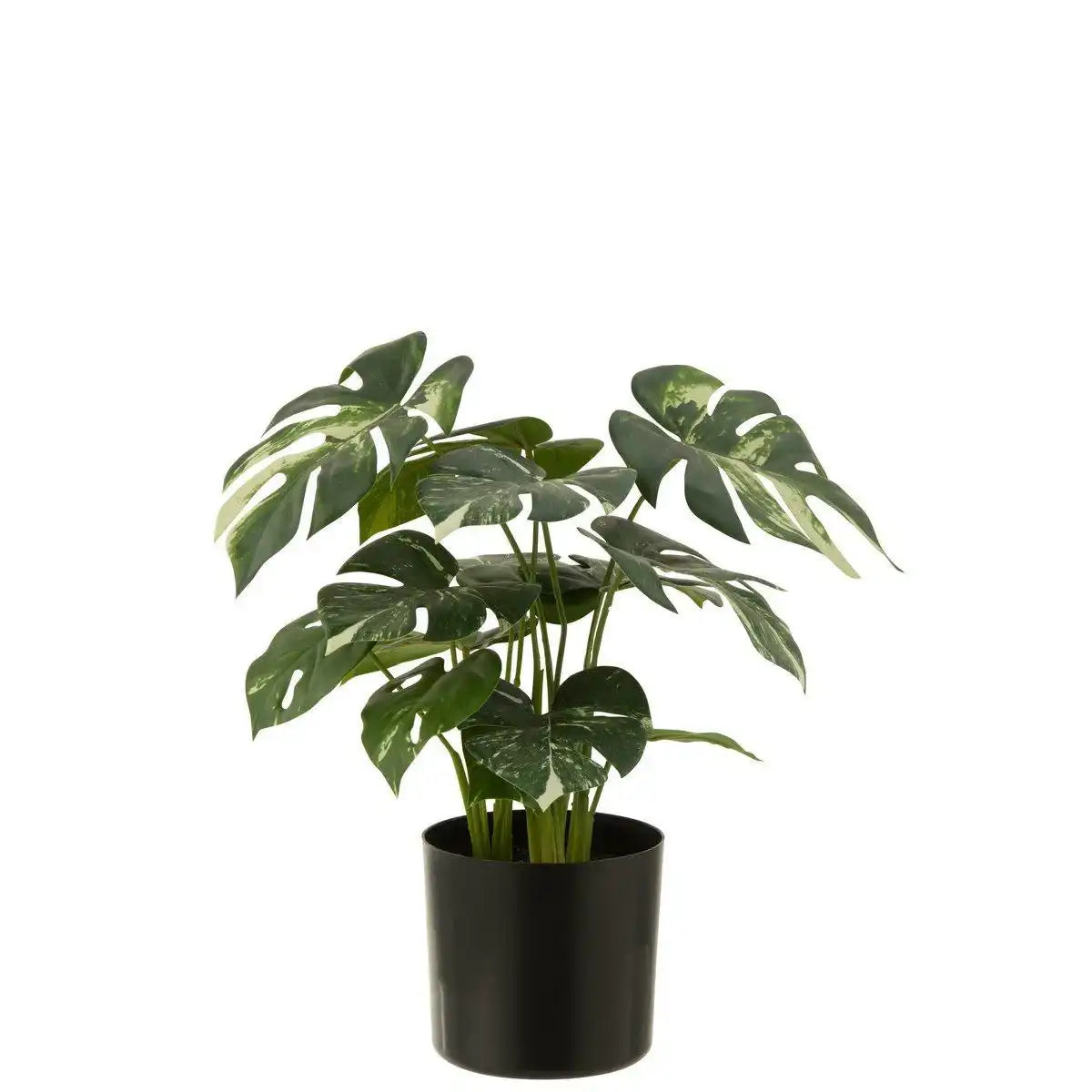 J-Line Monstera im Topf - Kunststoff - Grün - HomeDesign Knaus