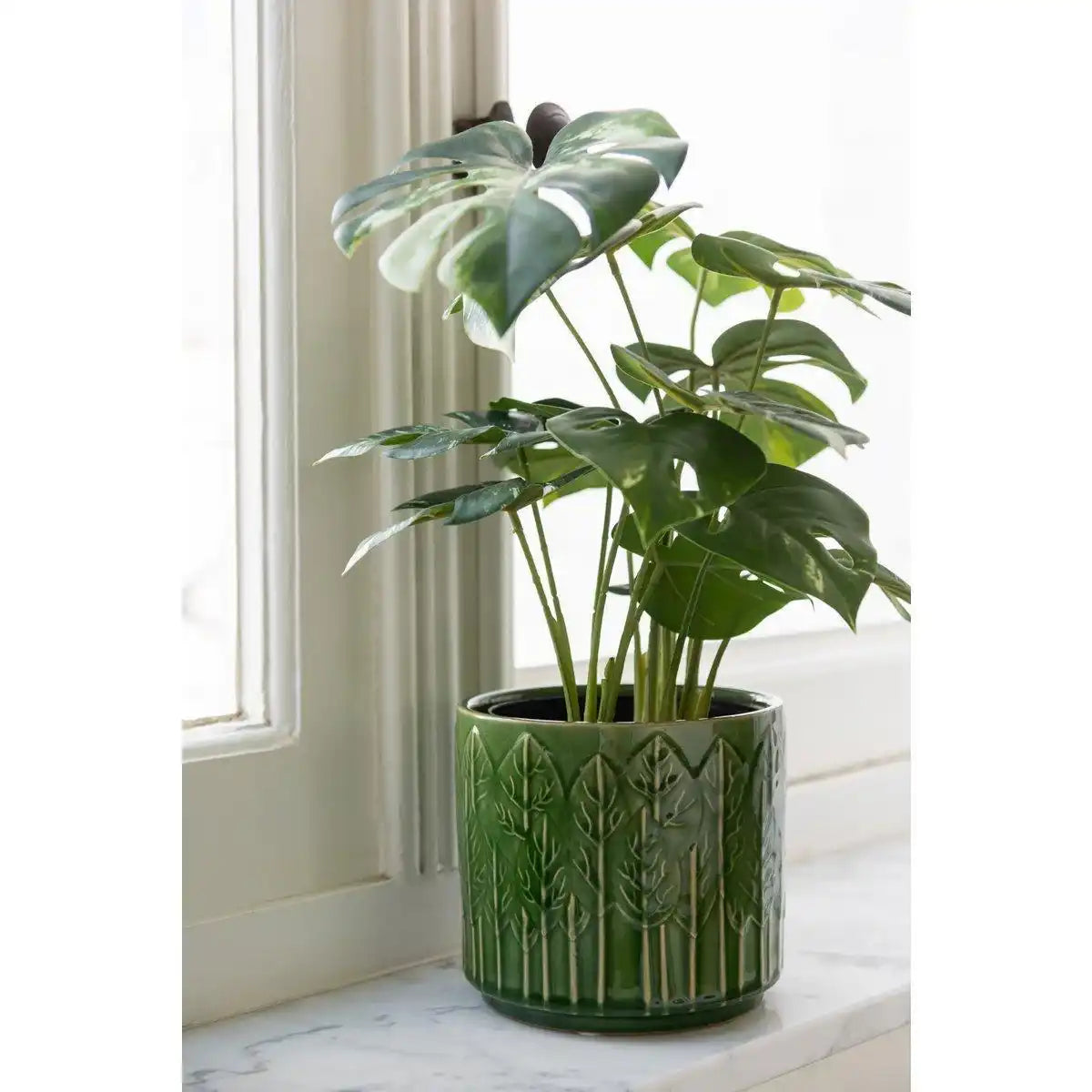 J-Line Monstera im Topf - Kunststoff - Grün - HomeDesign Knaus
