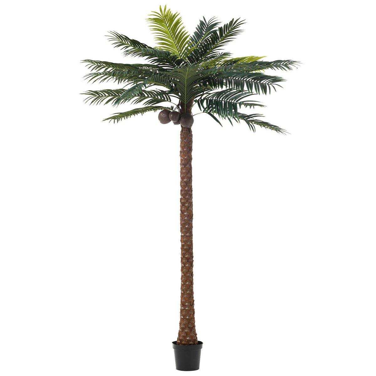 J-Line Palme 4 Kokosnuss im Topf Kunststoff grün - HomeDesign Knaus
