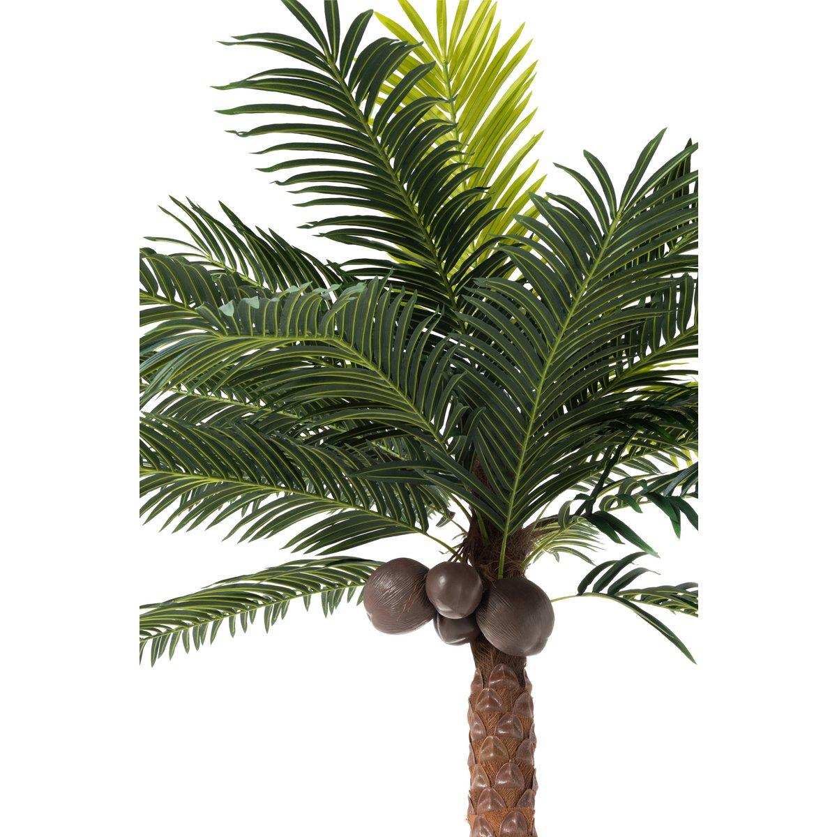 J-Line Palme 4 Kokosnuss im Topf Kunststoff grün - HomeDesign Knaus