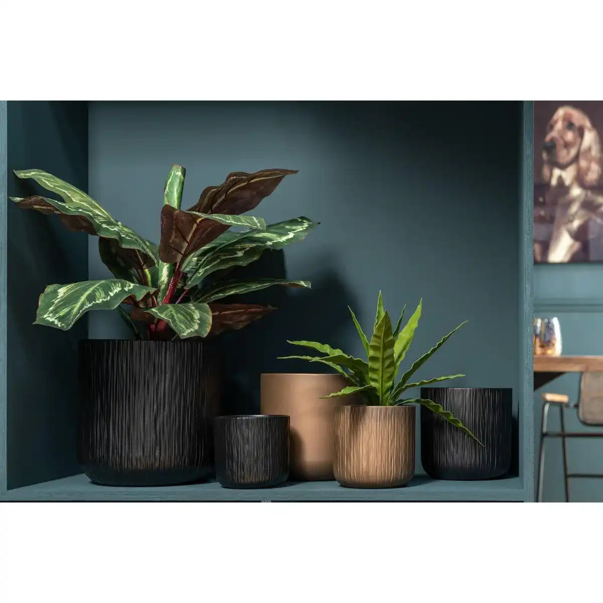 J-Line Pfauenpflanze im Kunststofftopf grün - HomeDesign Knaus