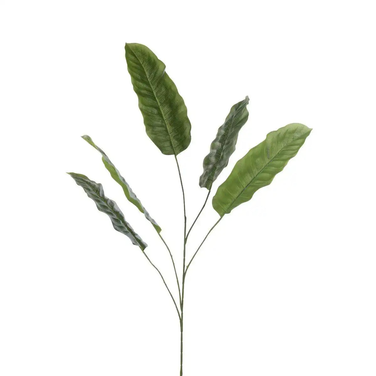J-Line Pflanze Banana Leaf – Kunststoff – grün - HomeDesign Knaus