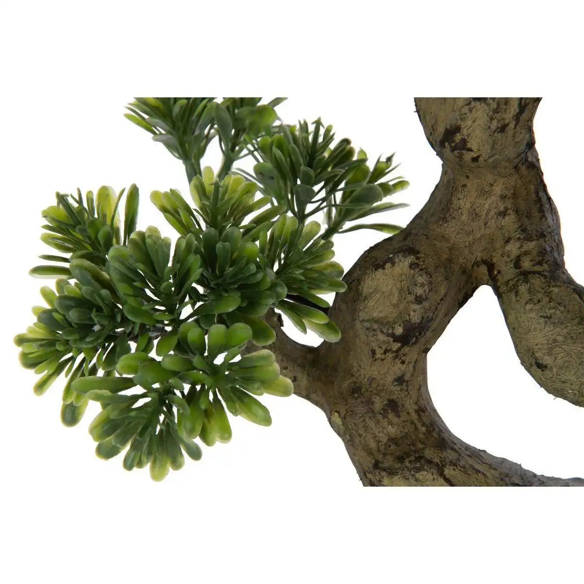 J-Line Pflanze Podocarpus Bonsai - Kunststoff - grün - klein - HomeDesign Knaus