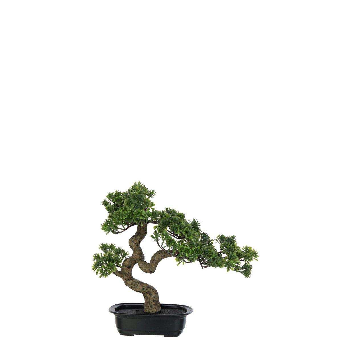 J-Line Pflanze Podocarpus Bonsai - Kunststoff - grün - klein - HomeDesign Knaus