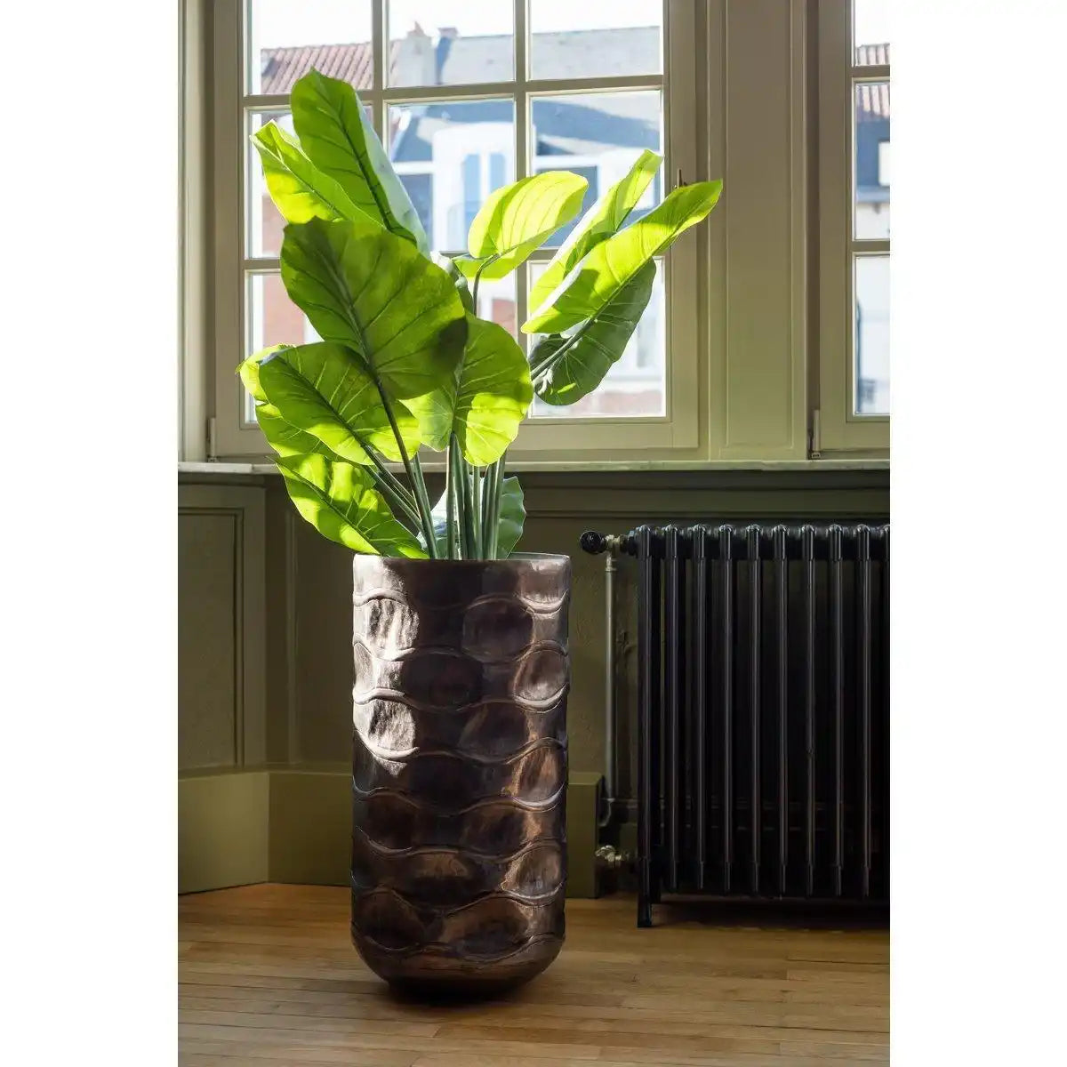 J-Line pflanzt Taro Wild im Topf – Kunststoff – grün – groß - HomeDesign Knaus
