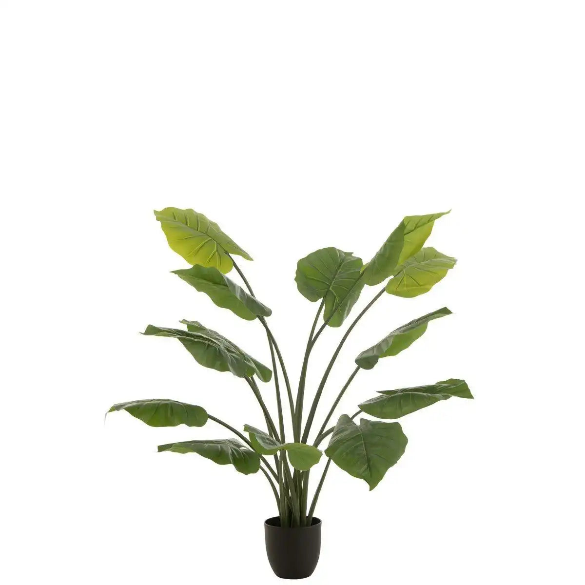 J-Line pflanzt Taro Wild im Topf – Kunststoff – grün – groß - HomeDesign Knaus