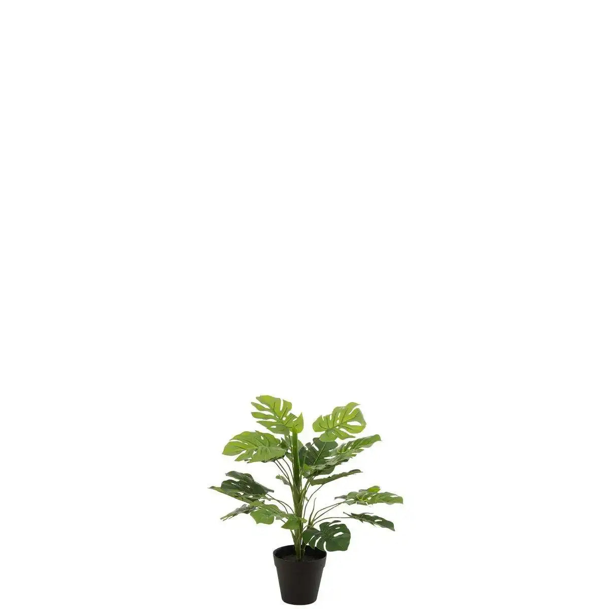 J-Line Philodendron im Topf Kunststoff grün klein - HomeDesign Knaus