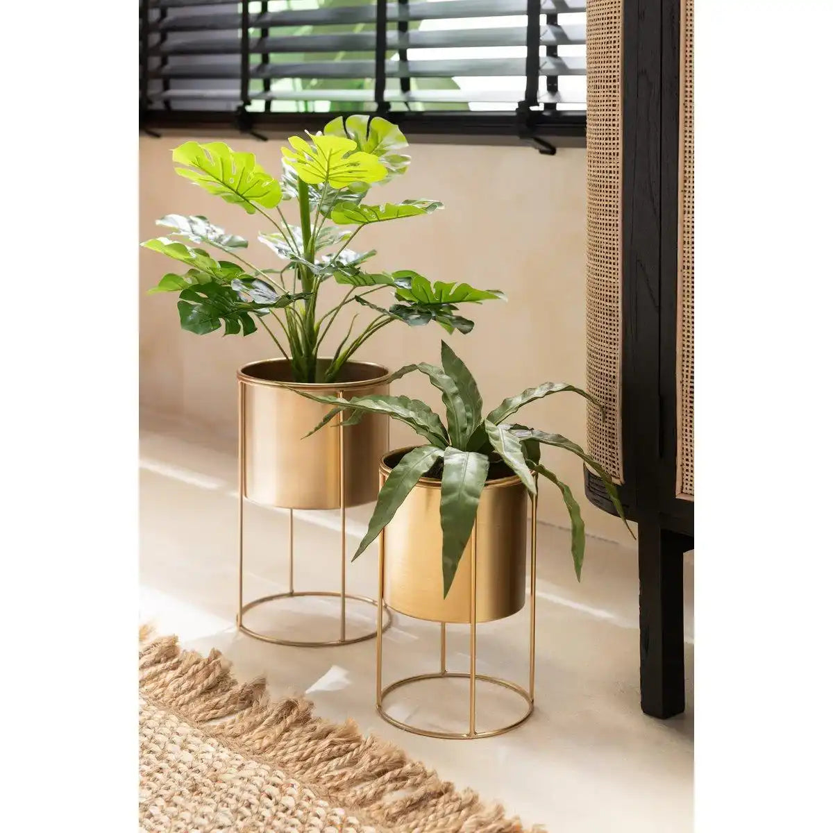 J-Line Philodendron im Topf Kunststoff grün klein - HomeDesign Knaus