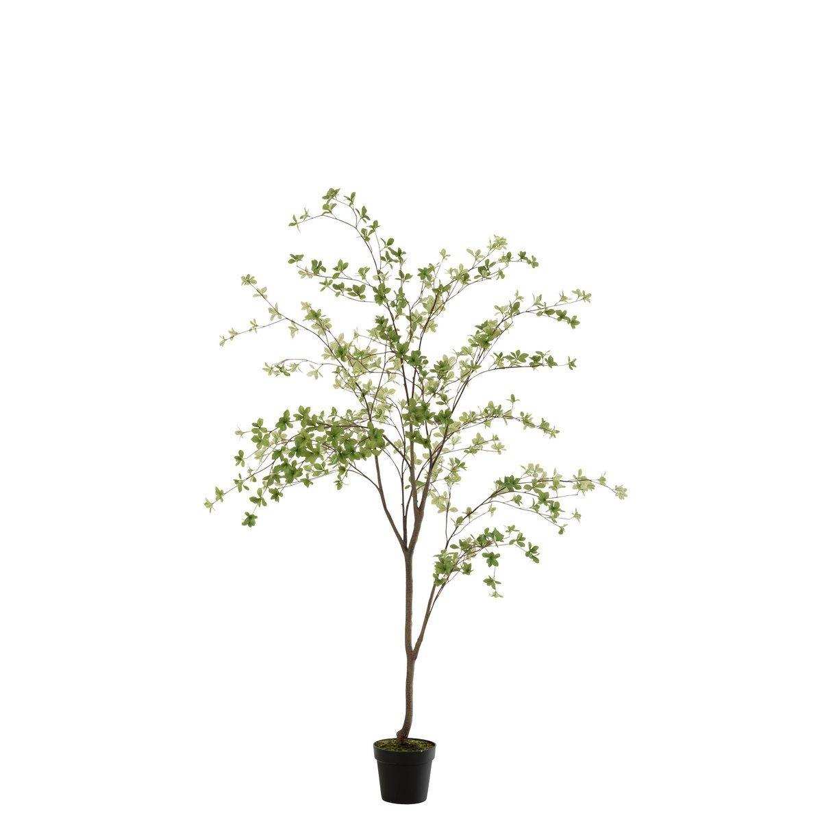 J-Line Plant Fine Leaves Kunststoff Grün/Schwarz - HomeDesign Knaus