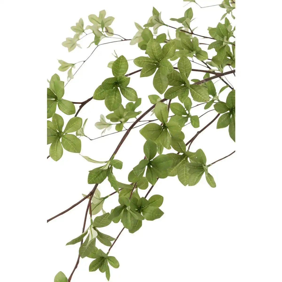 J-Line Plant Fine Leaves Kunststoff Grün/Schwarz - HomeDesign Knaus