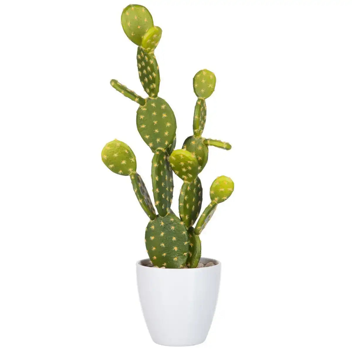 J-Line Prickly Pear Cactus Green/Melamin White Large - HomeDesign Knaus