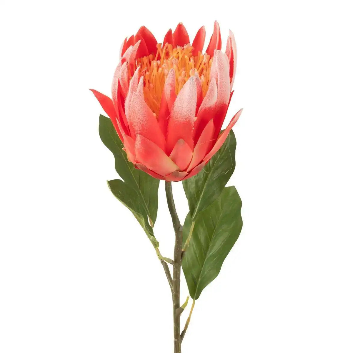 J-Line Protea Tak Plastiek Donker Rood - HomeDesign Knaus