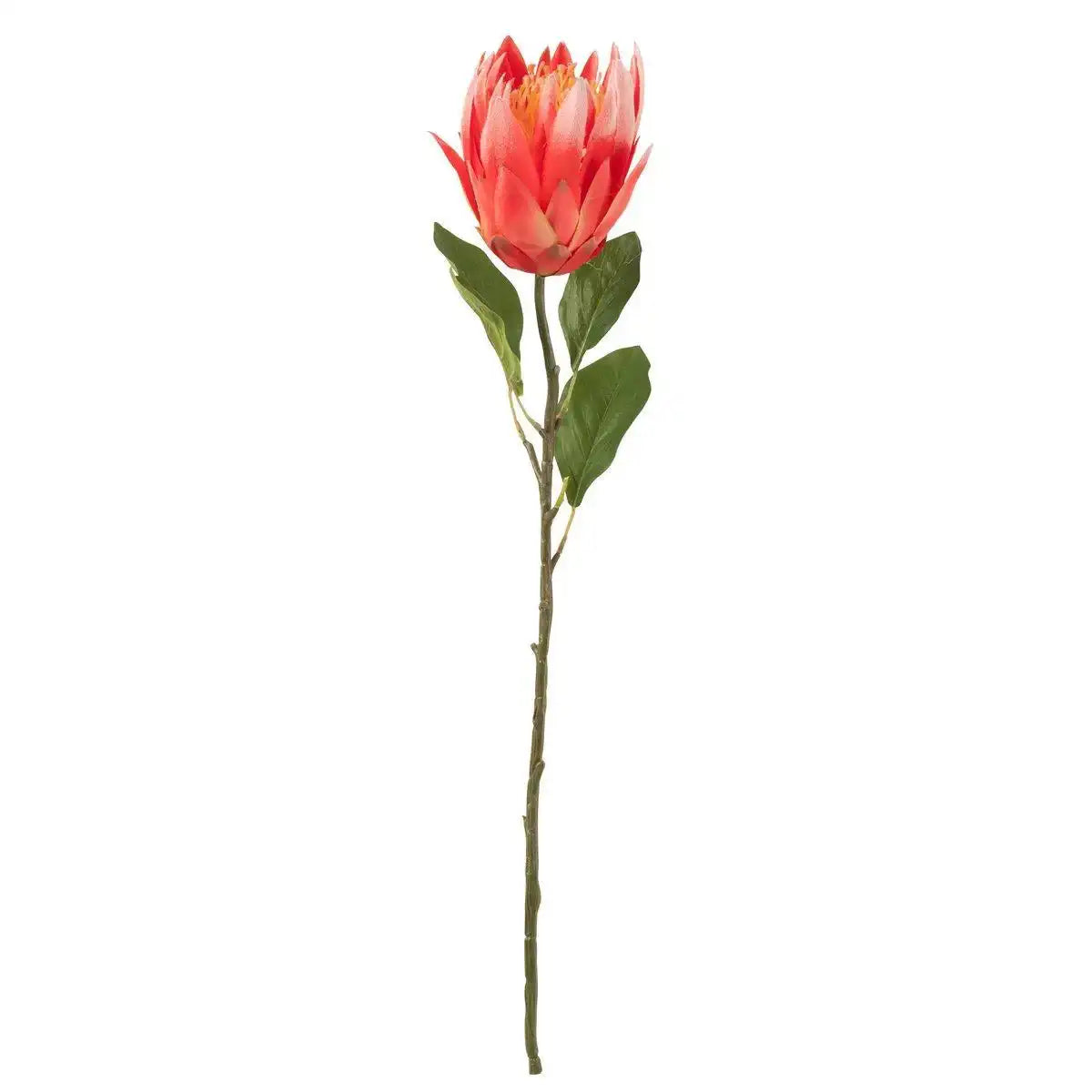 J-Line Protea Tak Plastiek Donker Rood - HomeDesign Knaus