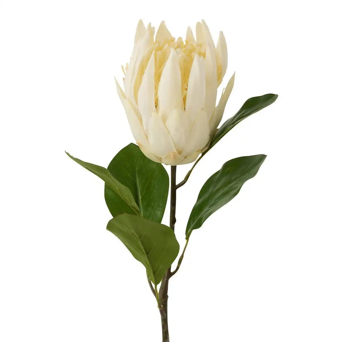 J-Line Protea Tak Plastiek Ecru - HomeDesign Knaus