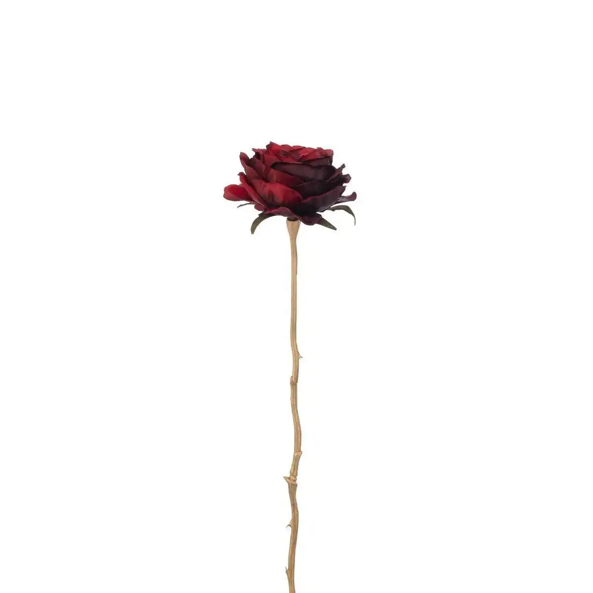 J-Line Rose 1 Stiel – Kunststoff – Rot/Gold – klein - HomeDesign Knaus