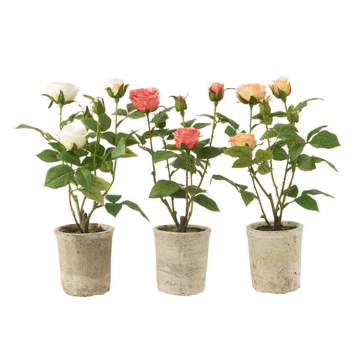 J-Line Rose 5 Köpfe im Topf, Kunststoff/Textil, Gelb/Grün - HomeDesign Knaus