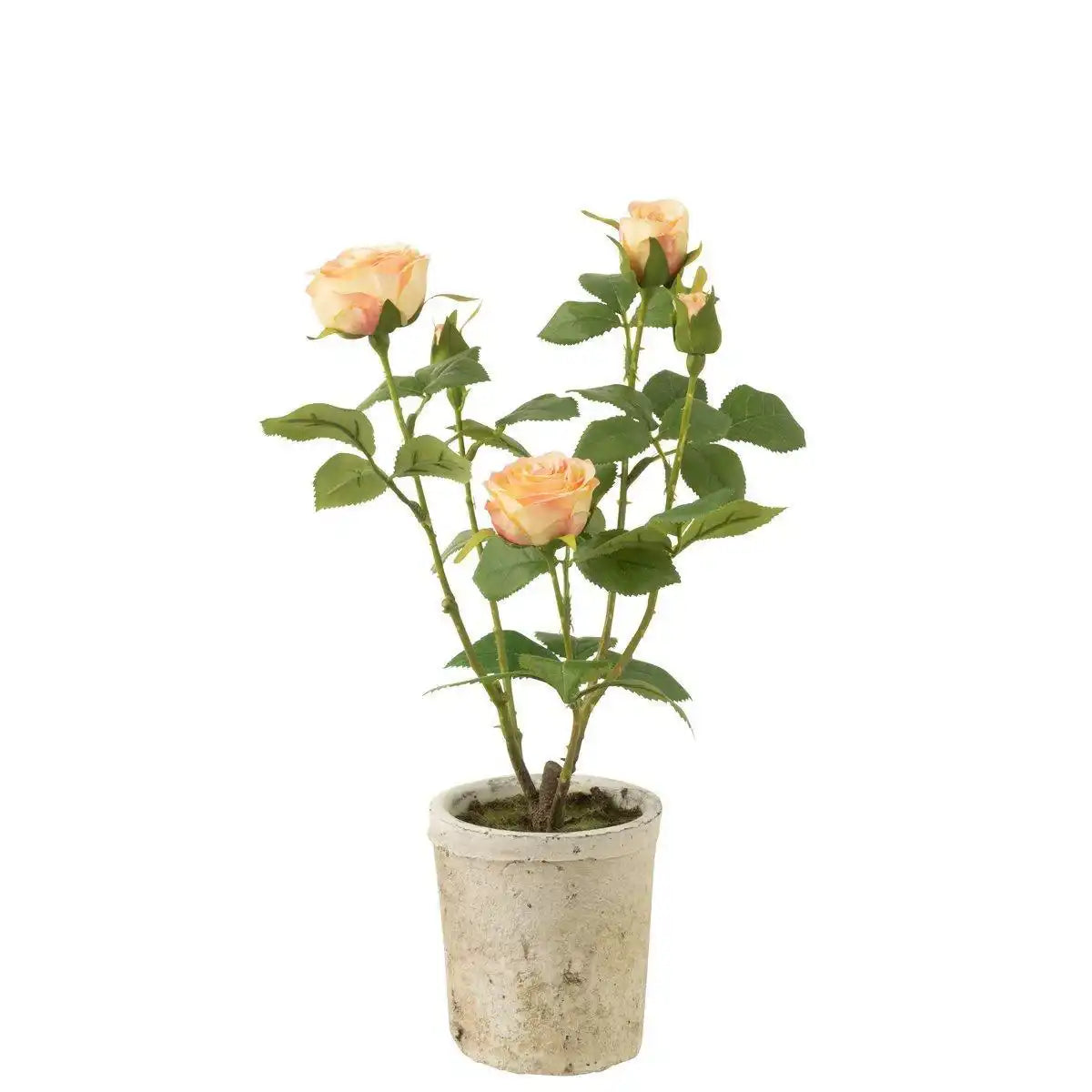 J-Line Rose 5 Köpfe im Topf, Kunststoff/Textil, Gelb/Grün - HomeDesign Knaus
