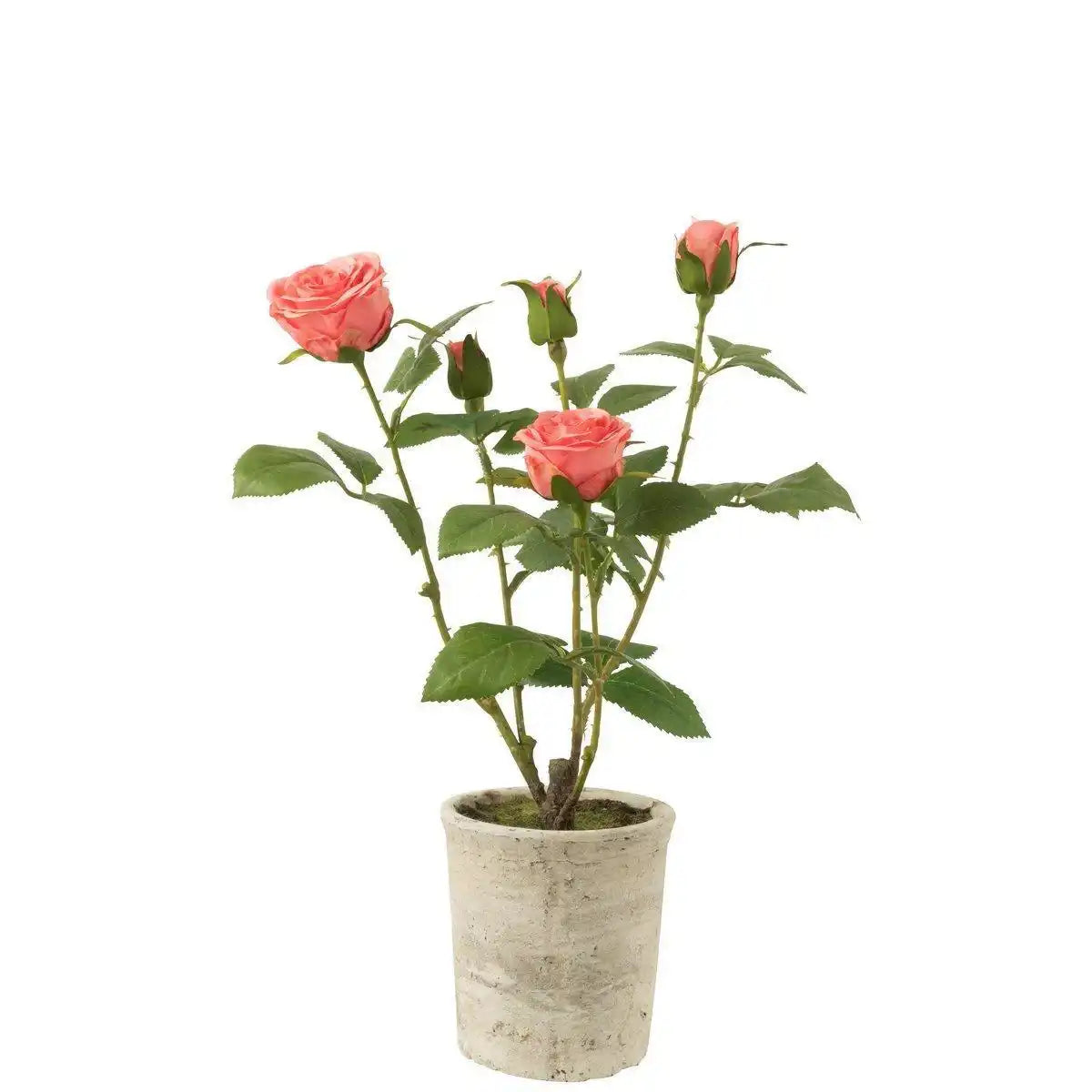 J-Line Rose 5 Köpfe im Topf, Kunststoff/Textil, Rosa/Grün - HomeDesign Knaus