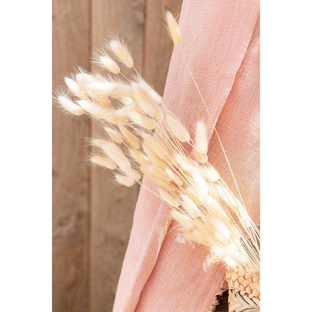 J-Line Trockenblumen – Bündel Federn – getrocknetes Gras – Ecru – S - HomeDesign Knaus