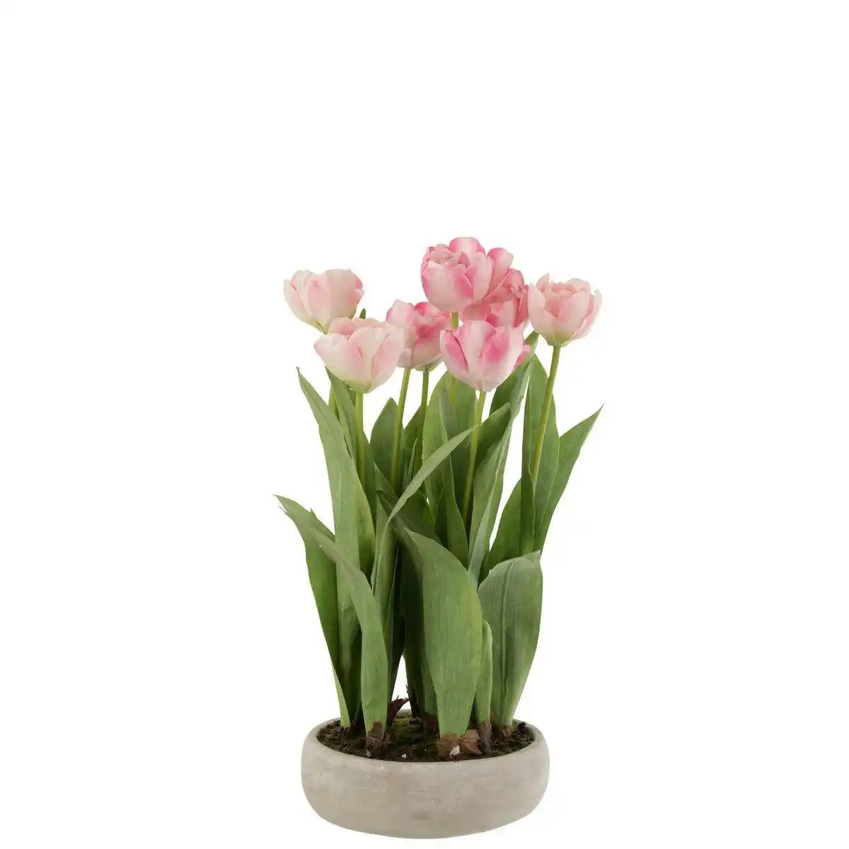J-Line Tulpen im Topf, zementgrau, Kunststoff, rosa/grün - HomeDesign Knaus