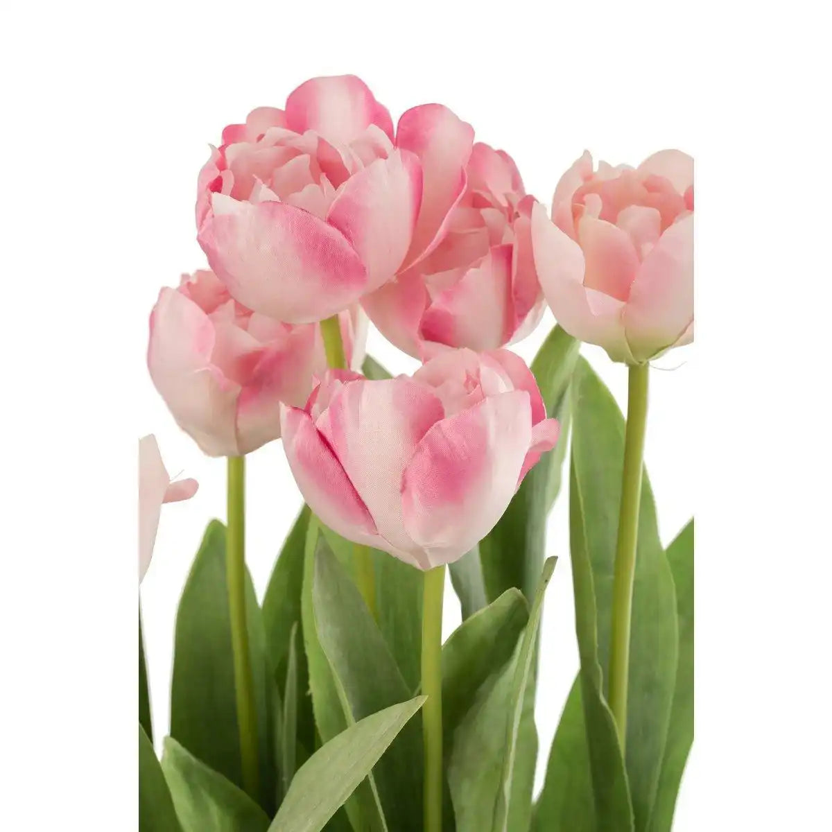 J-Line Tulpen im Topf, zementgrau, Kunststoff, rosa/grün - HomeDesign Knaus