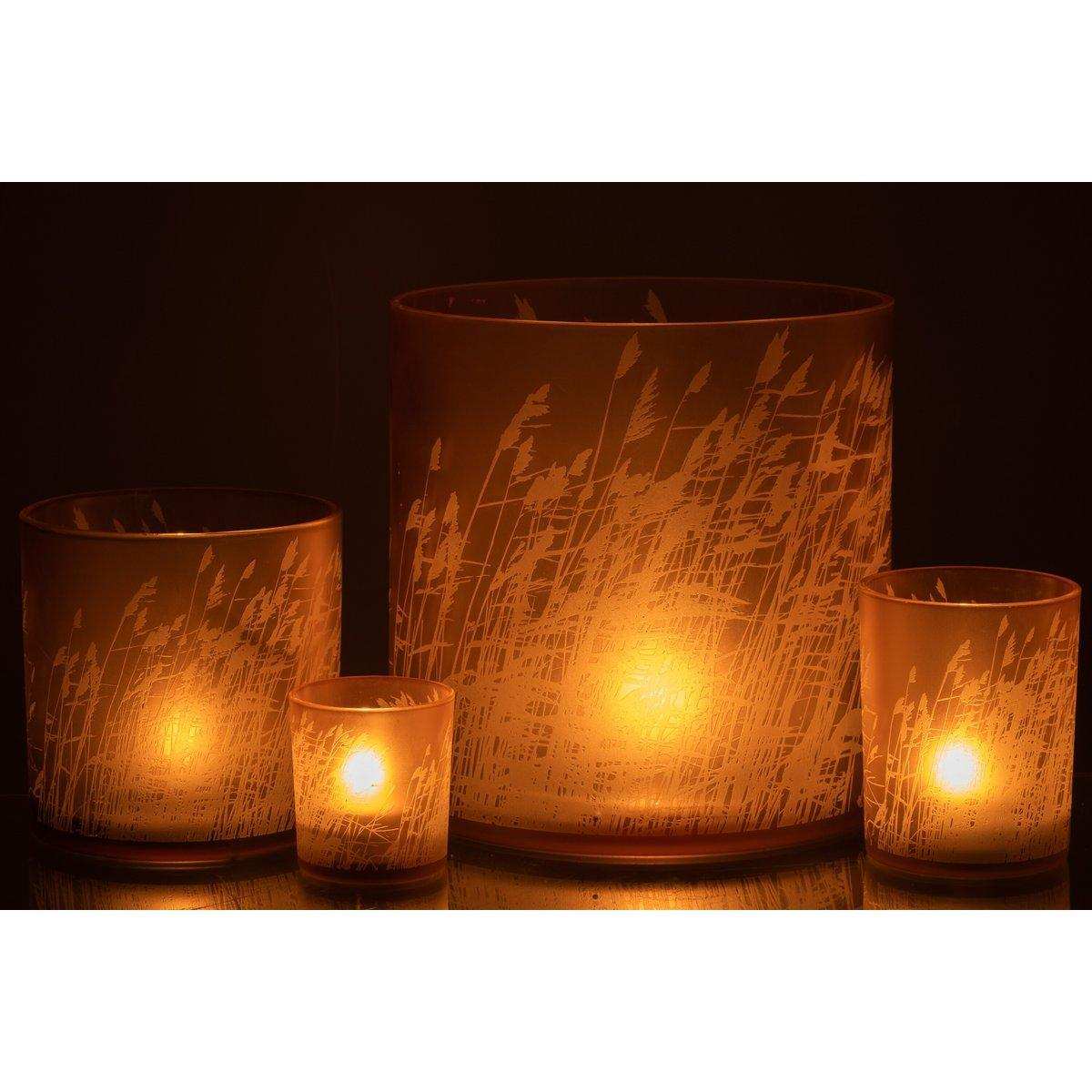 J-Line windlicht Gras - glas - beige - extra large - HomeDesign Knaus