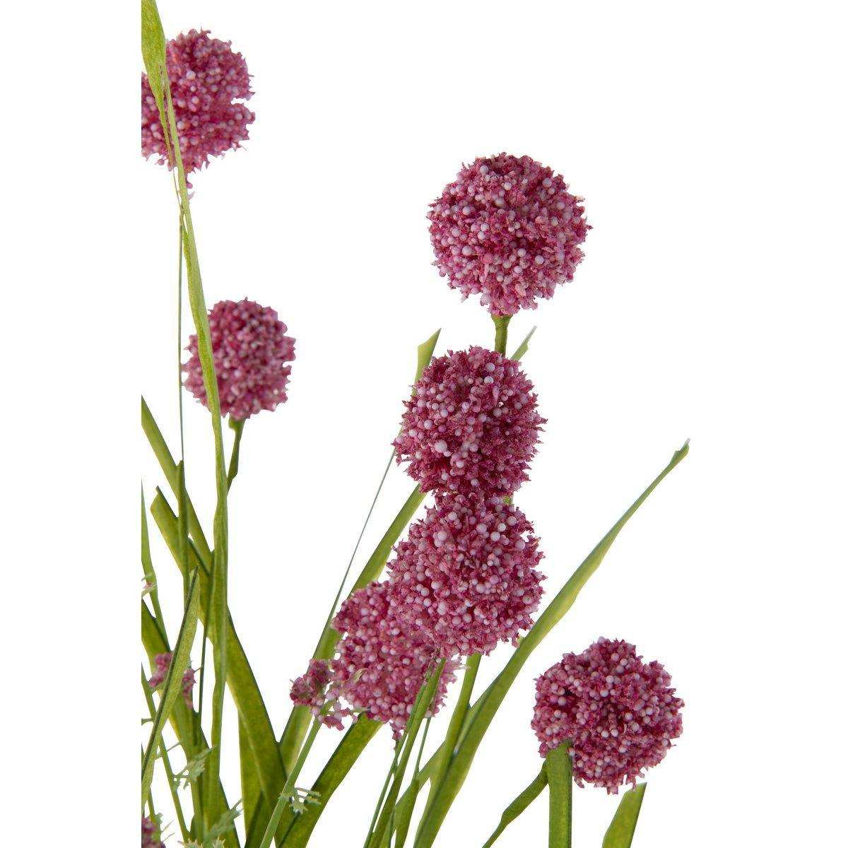 J-Line Zweig Purple Heel Herb – Kunststoff – Rosa - HomeDesign Knaus