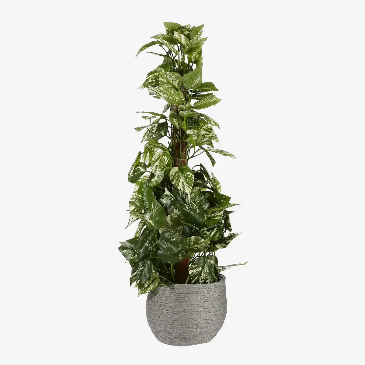 Jorck Pflanzkorb – 3er-Set – H24 x Ø26 cm – Papier – Grau - HomeDesign Knaus