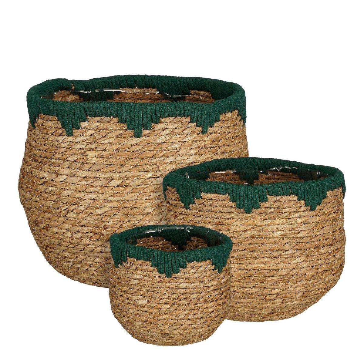 Jorck Pflanzkorb – 3er-Set – H24 x Ø26 cm – Seegras – Grün, Braun - HomeDesign Knaus