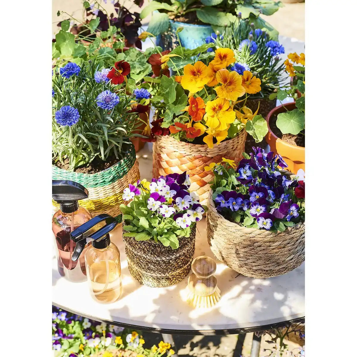 Jorck Pflanzkorb – 3er-Set – H24 x Ø26 cm – Seegras – Hellbraun - HomeDesign Knaus