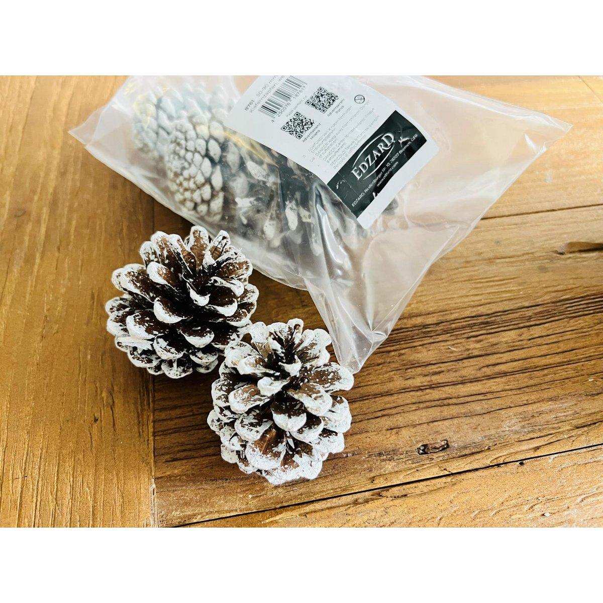 Kiefernzapfen (50-90 mm), 600 ml, weiß - HomeDesign Knaus