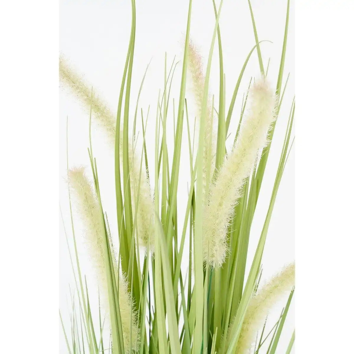 Künstliche Dogtail-Graspflanze – H53 x Ø30 cm – Grün - HomeDesign Knaus