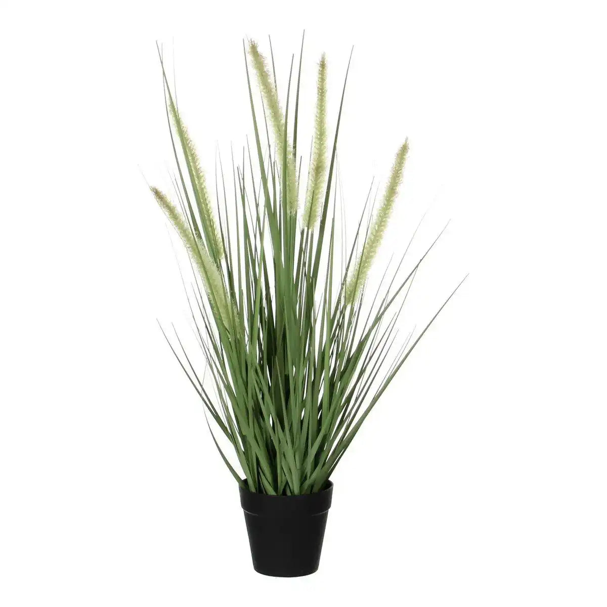 Künstliche Dogtail-Graspflanze – H53 x Ø30 cm – Grün - HomeDesign Knaus