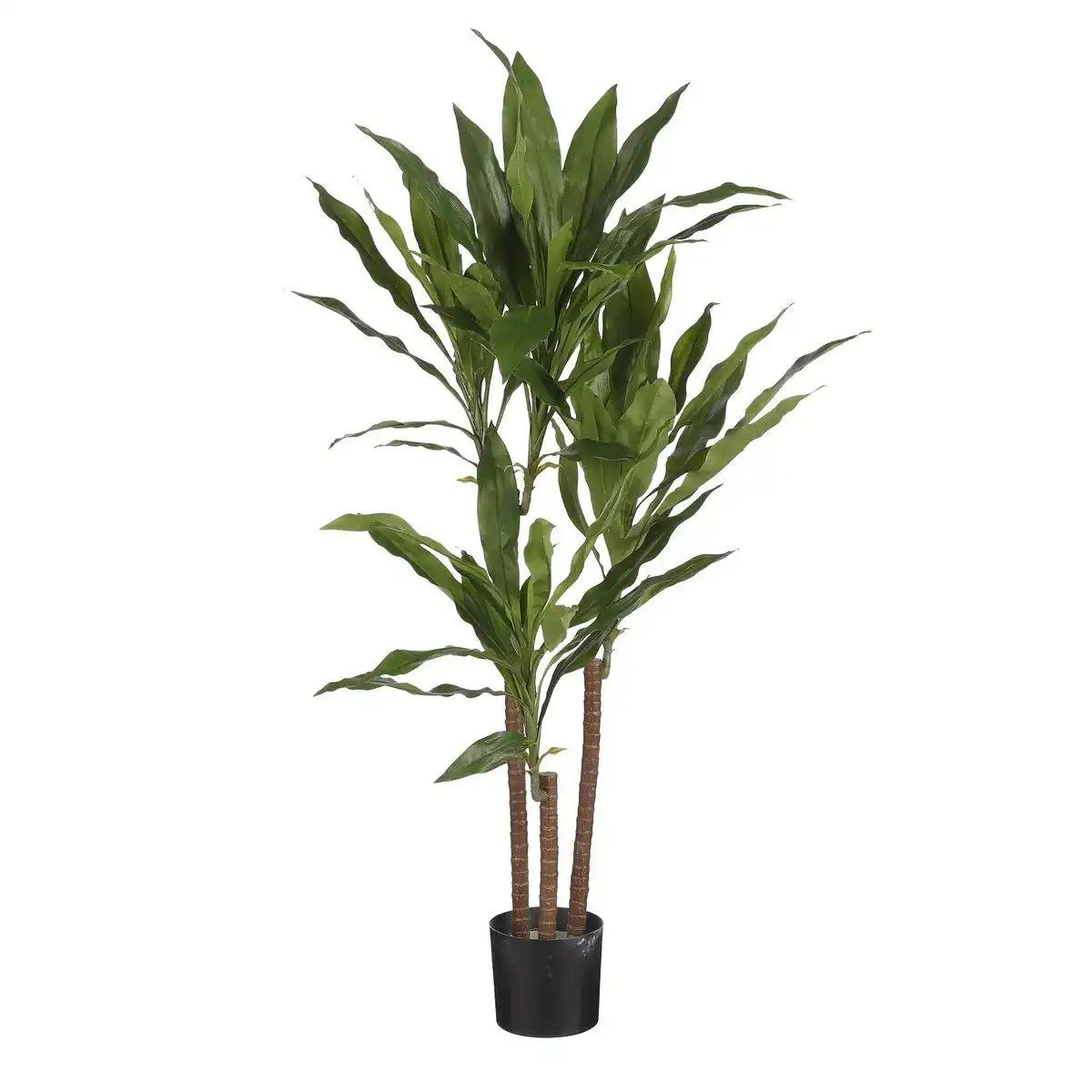 Künstliche Dracaena-Pflanze - H100 x Ø70 cm - HomeDesign Knaus
