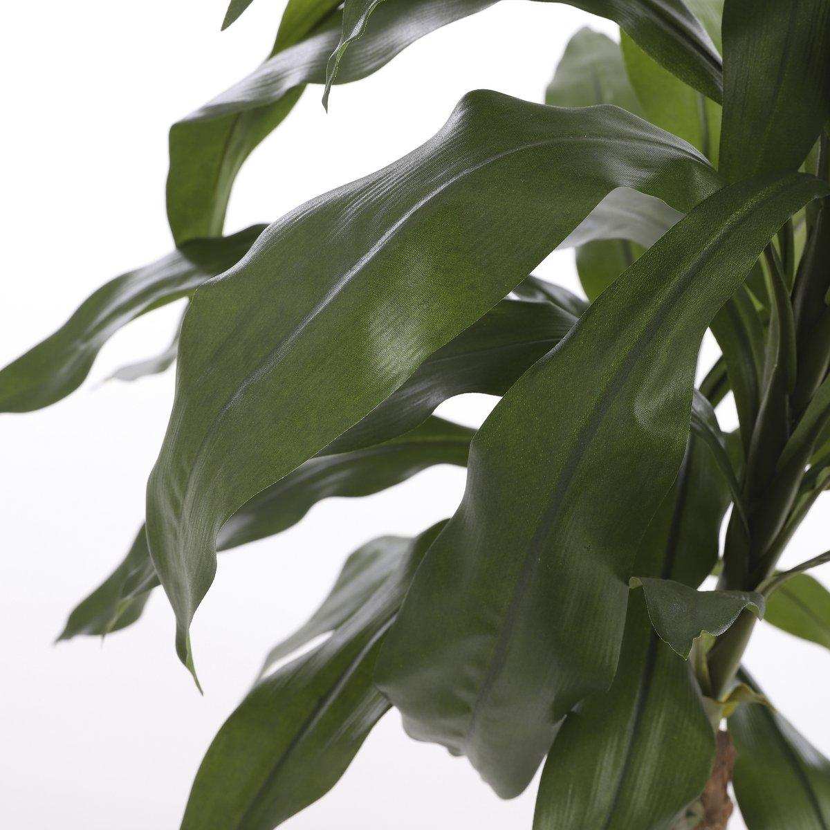 Künstliche Dracaena-Pflanze - H100 x Ø70 cm - HomeDesign Knaus