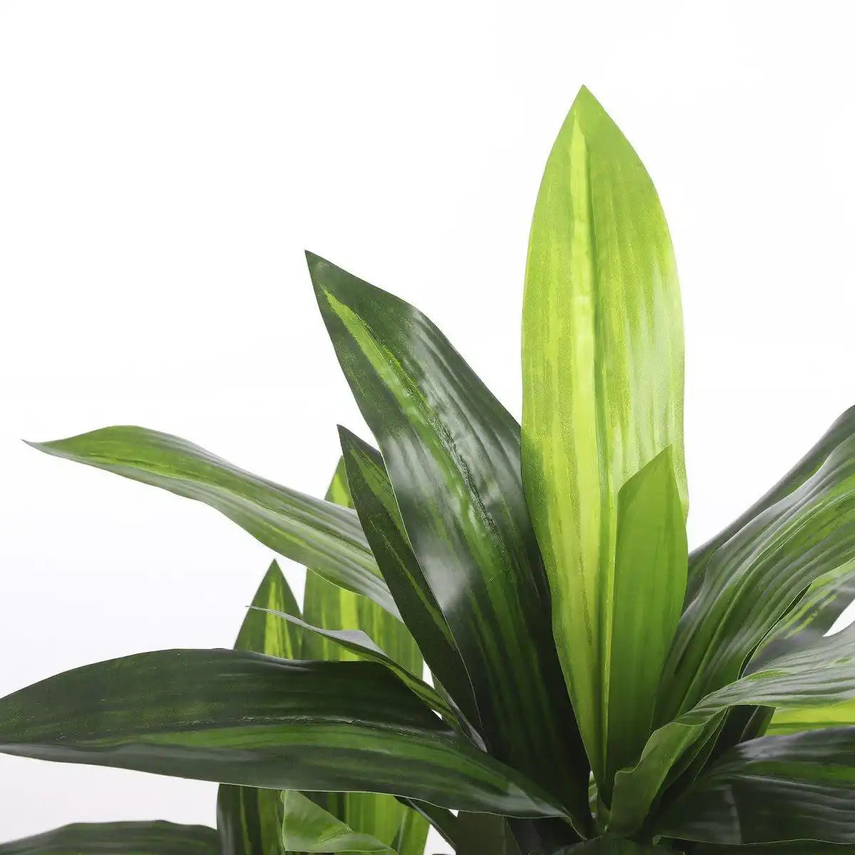 Künstliche Dracaena-Pflanze – H110 x Ø60 cm - HomeDesign Knaus