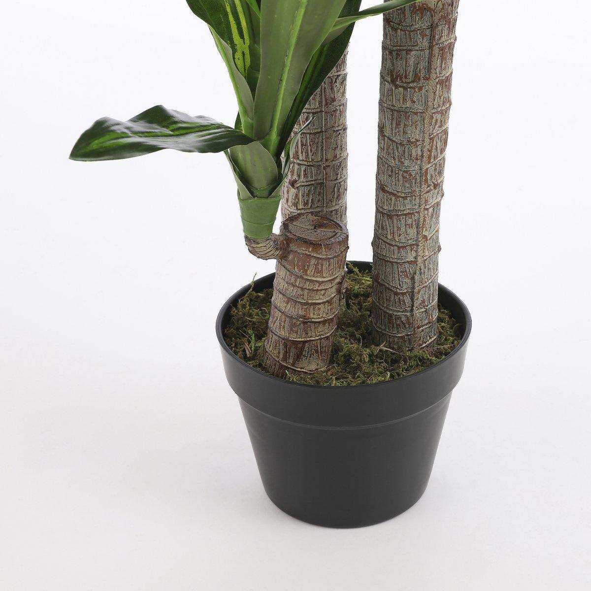 Künstliche Dracaena-Pflanze – H110 x Ø60 cm - HomeDesign Knaus