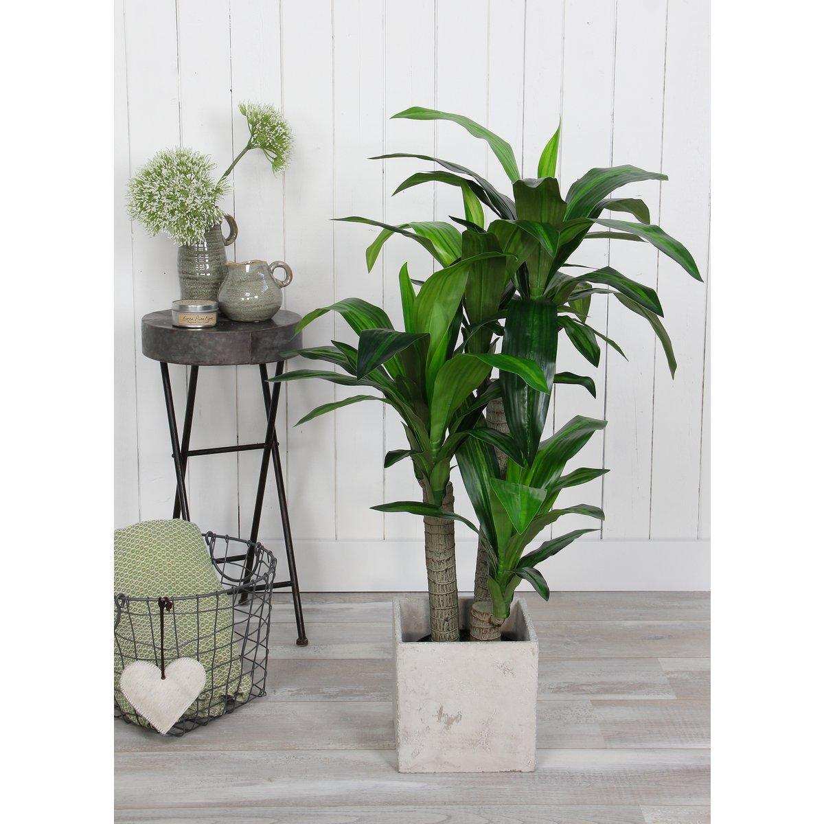 Künstliche Dracaena-Pflanze – H110 x Ø60 cm - HomeDesign Knaus