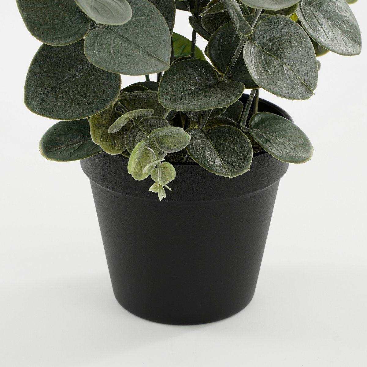 Künstliche Eukalyptuspflanze im Blumentopf – H53 x Ø23 cm – Grün - HomeDesign Knaus