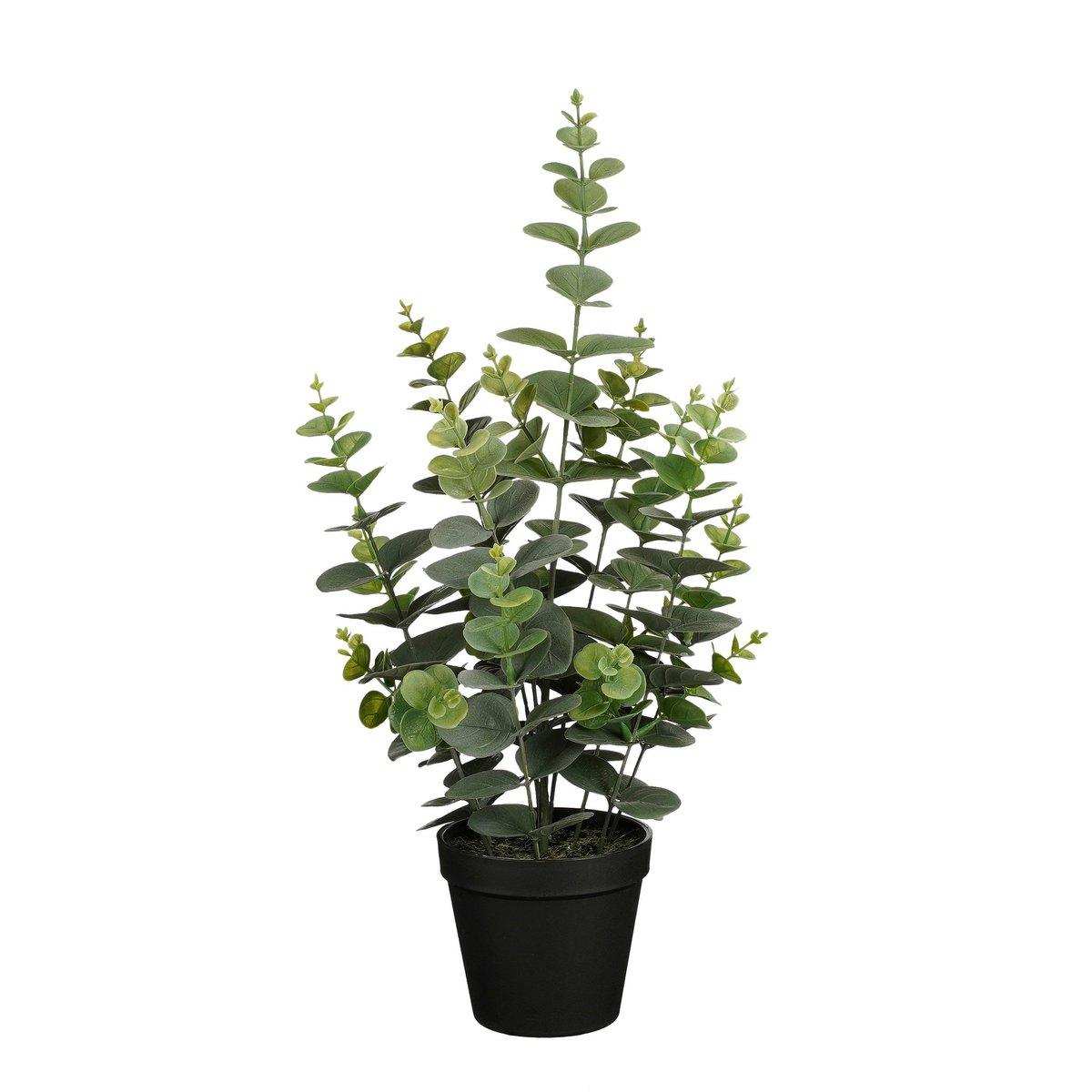 Künstliche Eukalyptuspflanze im Blumentopf – H53 x Ø23 cm – Grün - HomeDesign Knaus