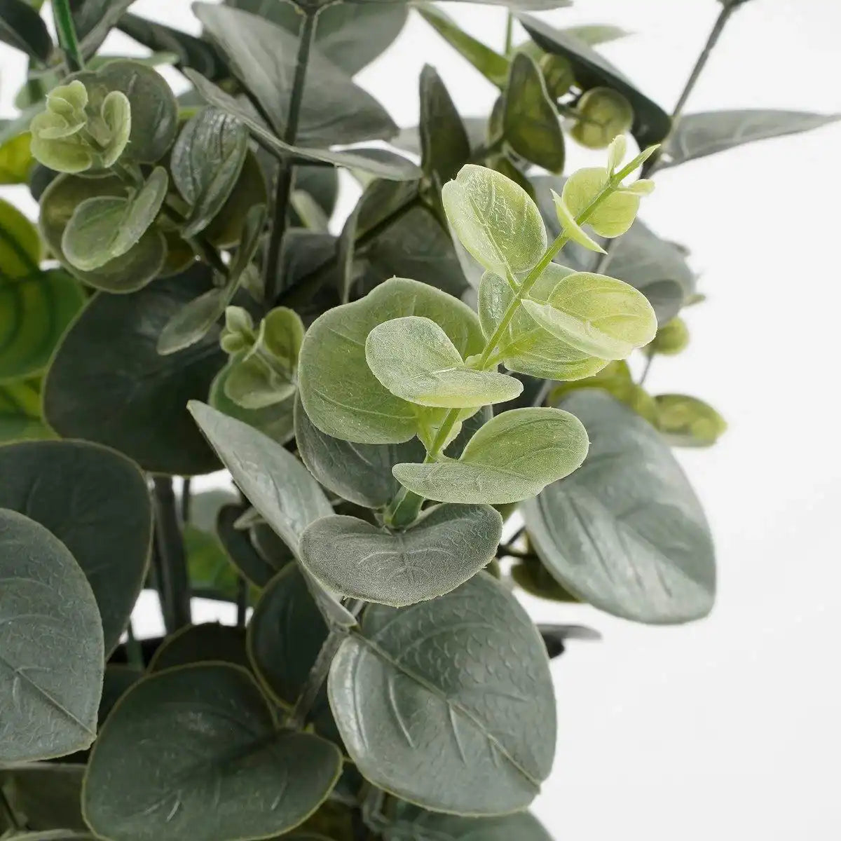 Künstliche Eukalyptuspflanze im Blumentopf – H53 x Ø23 cm – Grün - HomeDesign Knaus