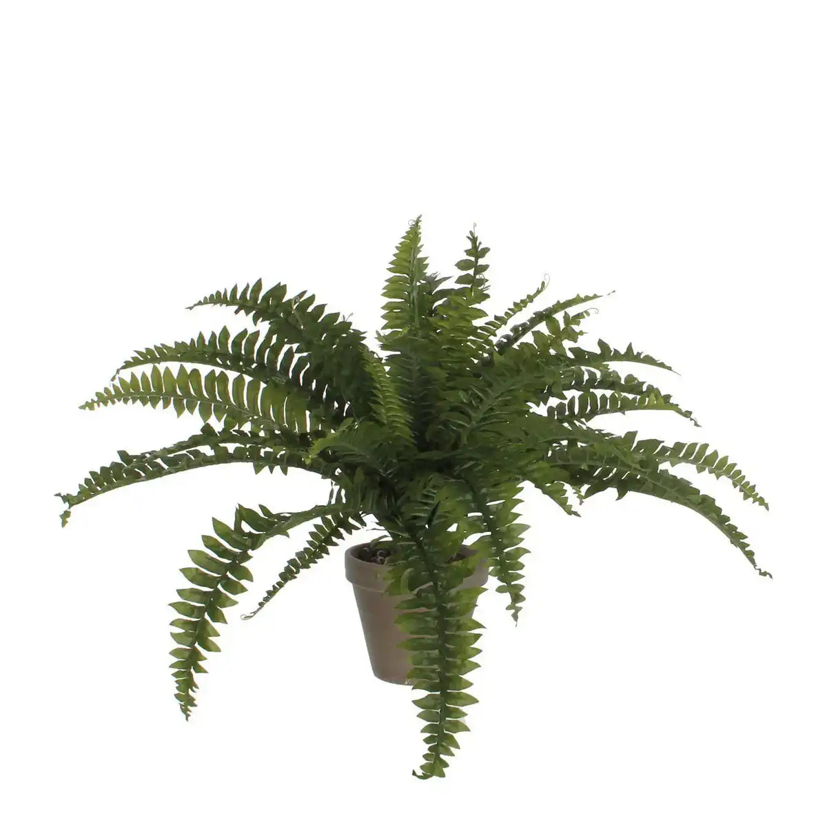 Künstliche Farnpflanze im Blumentopf Stan - H40 x Ø70 cm - Grün - HomeDesign Knaus