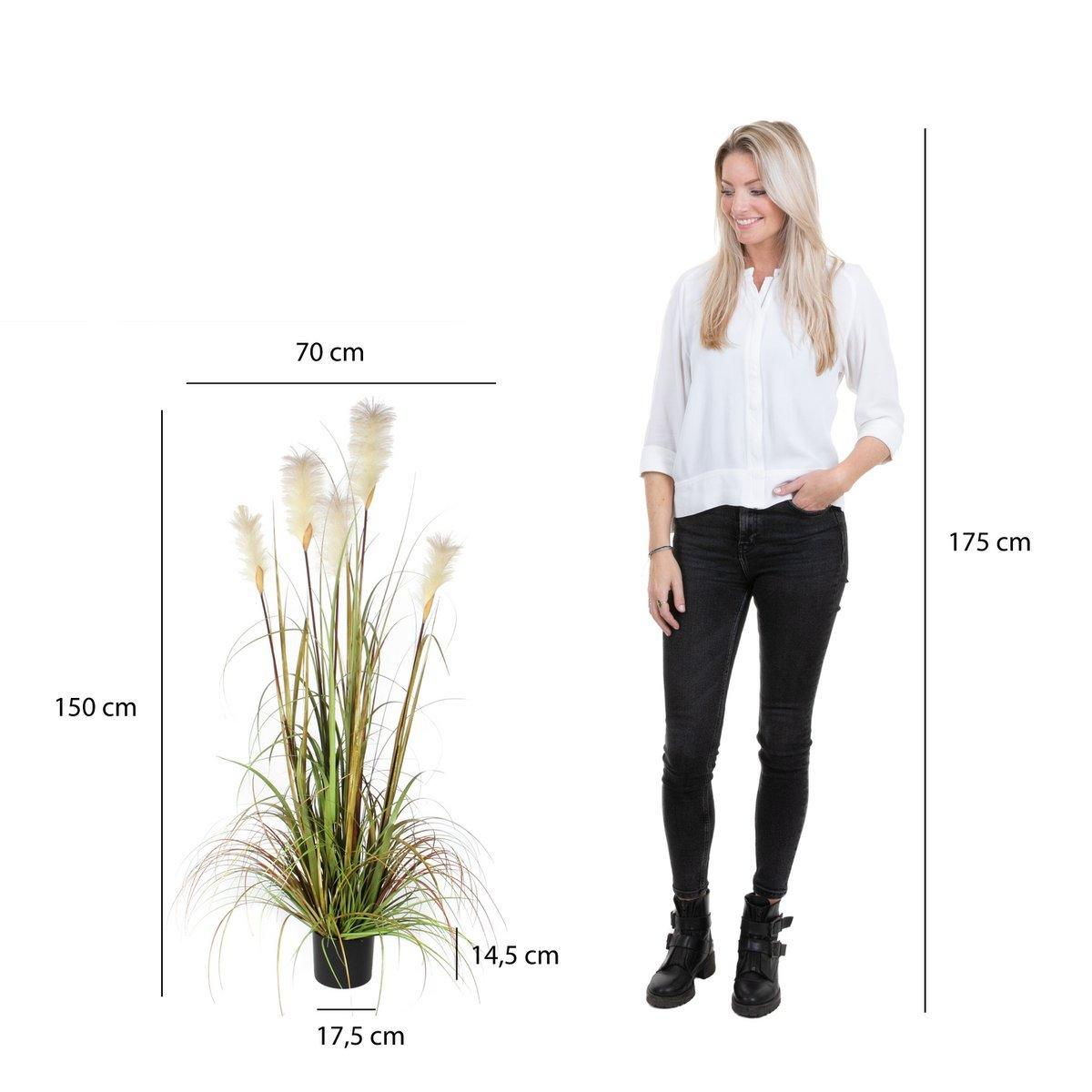 Künstliche Federgras-Fuchsschwanzpflanze – H150 x Ø70 cm – Grün - HomeDesign Knaus