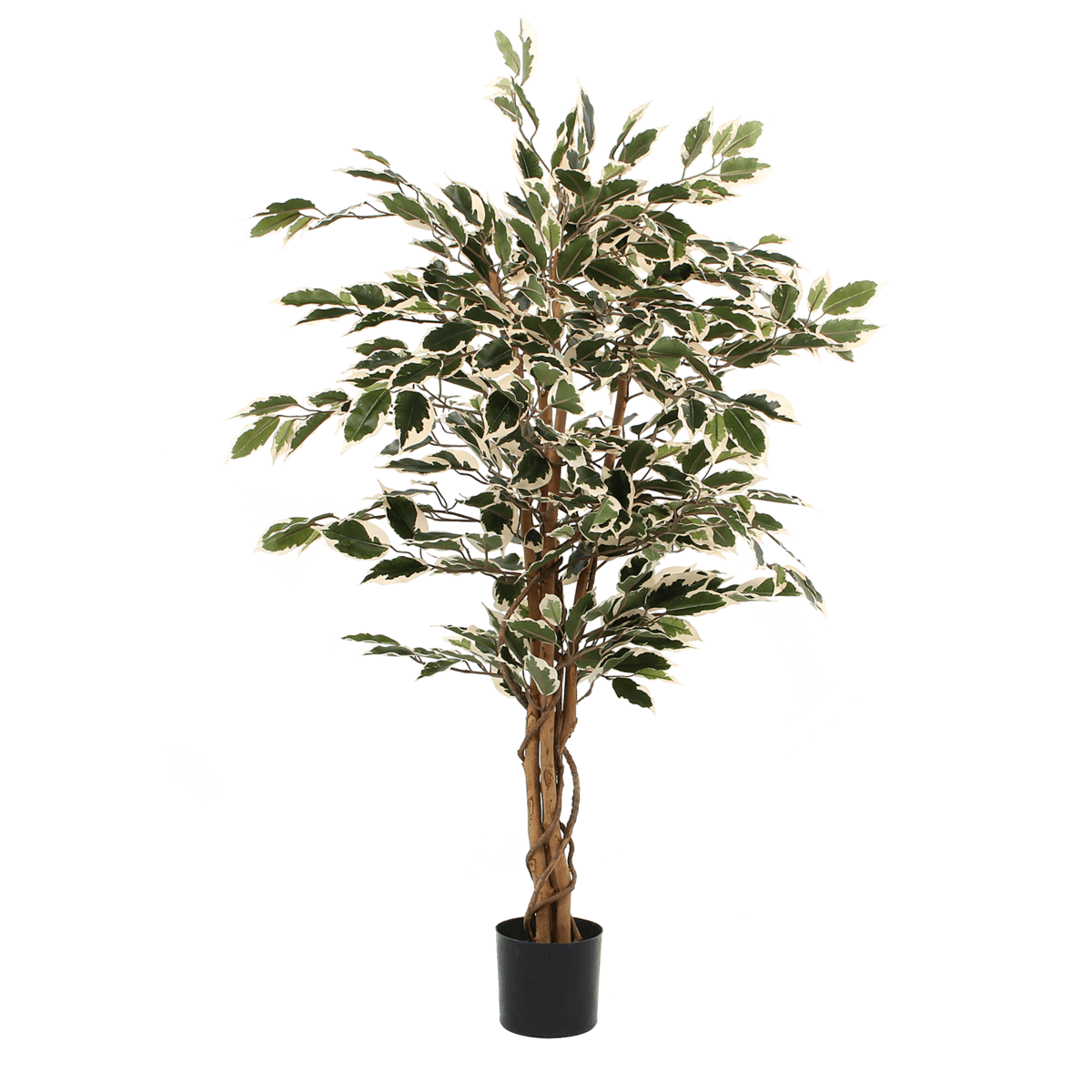 Künstliche Ficus-Pflanze – H110 x Ø70 cm – grün bunt - HomeDesign Knaus